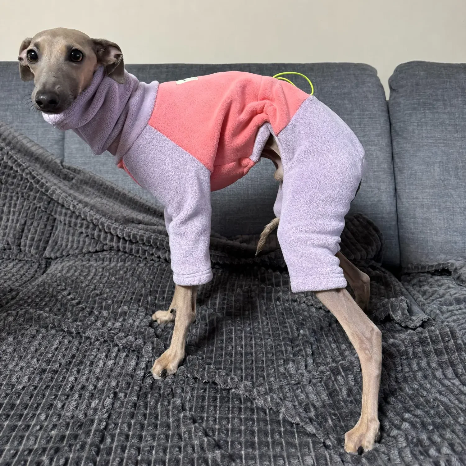 Warmer gelber Fleecepullover für Italien, Windhund, weiches 4-beiniges High-Neck-Sweatshirt, winddichter Wintermantel für Pudel, Teddy, mittelhoher Hund – Detail 14