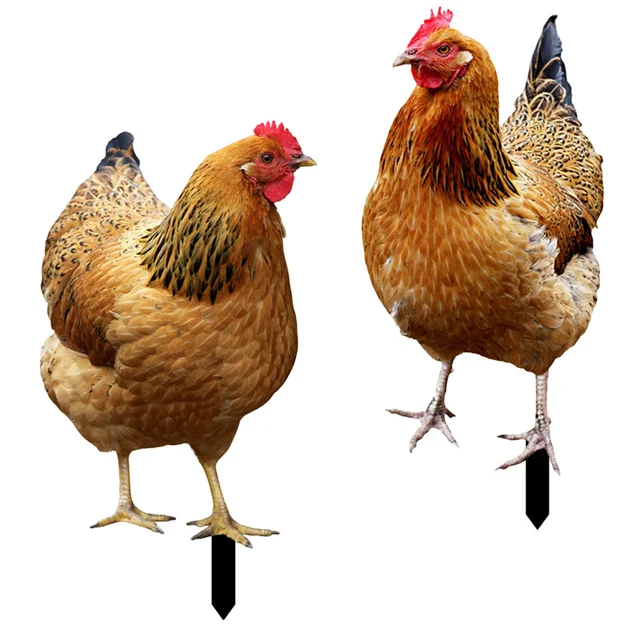 Csirke Kerti Udvar Kakas Gyep Dekoráció Tét Fém Dísz Jel Ábra Vas Betét Akcióállatok Farmfigura