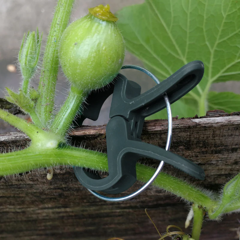 10/20PCS Reusable Plant Fixed Clips Greenhouse Bracket Fastener Clamp For Fixing Vine Flower Vegetables Stems Garden Supplies