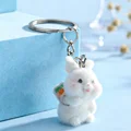 Rabbit 1