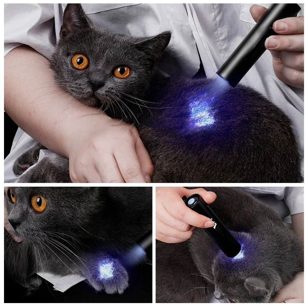UV Flashlight USB Rechargeable 365nm 3W Ultraviolet Torch For Pets Urine Cat Tinea Money Ore Scorpion Detection