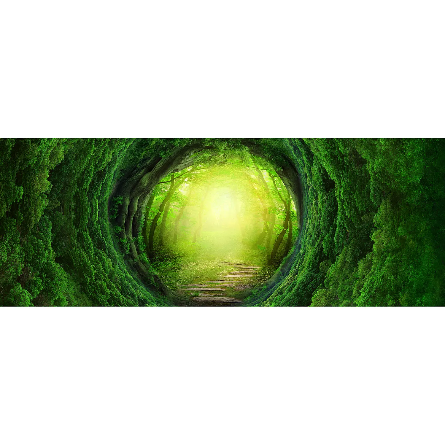 Ÿ  ȭ , ź   ̺  ҳ ҳ Ű  Կ  Ƽ 