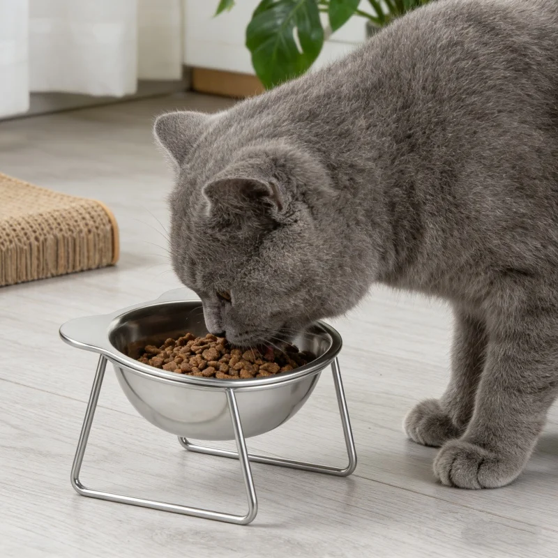 Tilted Cat Bowl 2