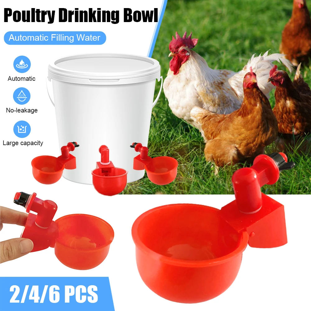 Automatic Feed Poultry Water Drinking Cup Chicken Automatic Chicken