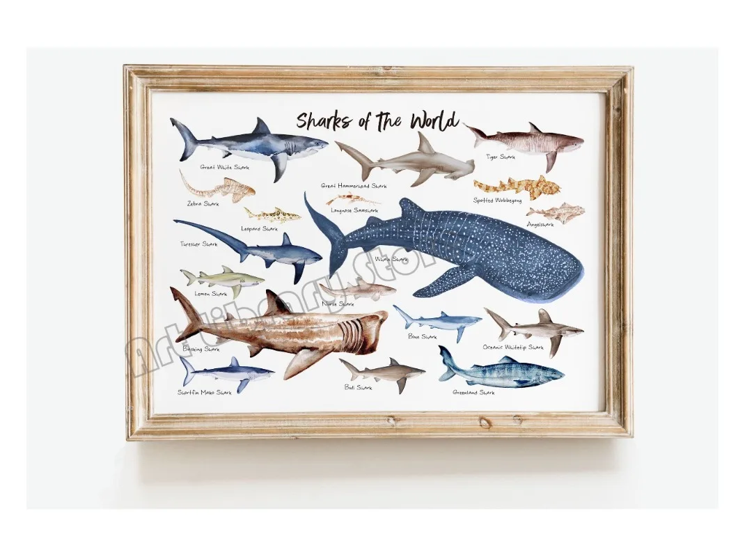Marine Life Ocean Animals Canvas Art Poster - Whales, Sharks, and Turtles