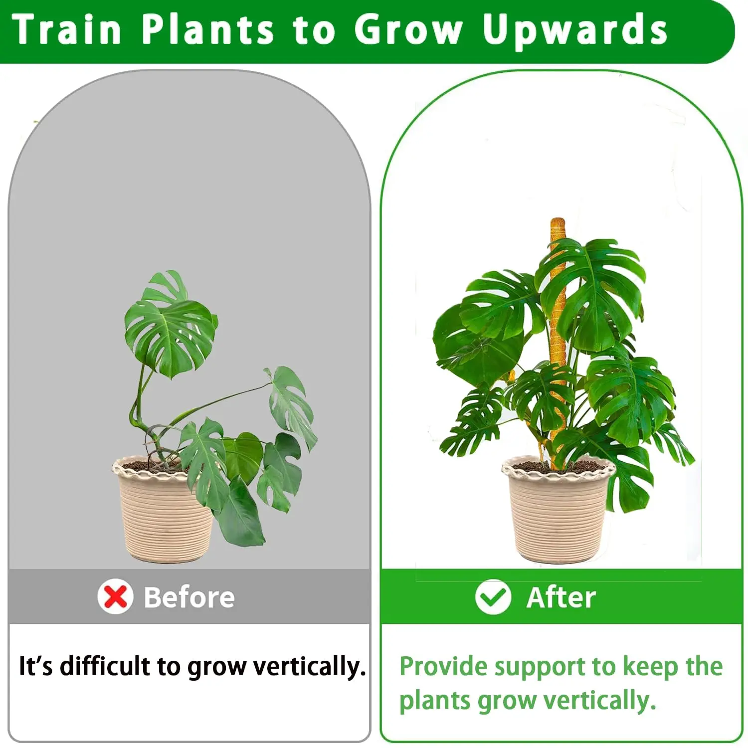 S33073fcccbe94164b919f652de04f59dA