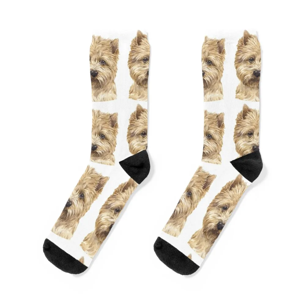 

Cairn Terrier Watercolor Art Socks summer halloween custom sports basketball Socks Man Women's