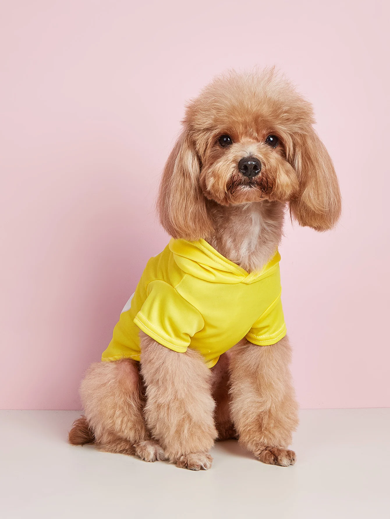 애완동물 옷, 개, 고양이, 스웨트 셔츠, 편한 옷, 지문이 있는 옷, 심플하고 관대함