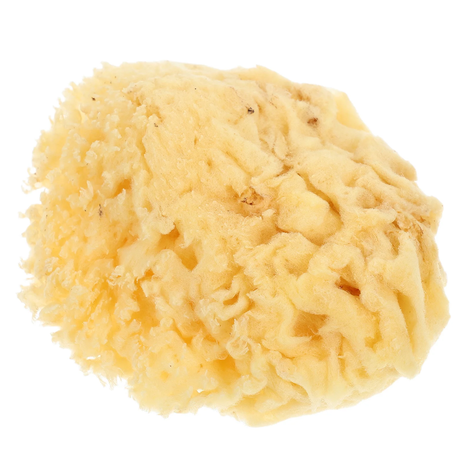 Natural Sea Sponge Soft Watercolor Sponge Water Absorption for Kids Painting Easy to Hold DIY Texture Painting Professional