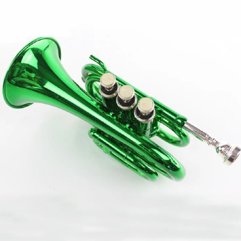 Pocket Green Palm Instrument for Beginner, Western Wind Instrument, B Flat, Manufacturers,