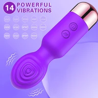 14-Gang-Vibrator, Sexspielzeug für Frau, Dildo, Zauberstab, Anal-Klitoris-Stimulator, kabelloser Vibrator, weiblicher Masturbator, sexy Spielzeug 2
