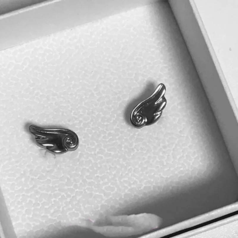 Y2K Wings Earrings Vintage Frosted Angel Ear Stud for Women Fashion Creativity Wings Earrings Korean Jewelry Accessories Gifts 5