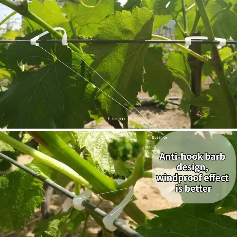 Plastic Plant Clips 50/100Pcs Tomato Support Clips Grape Rack Mesh Fasteners Gardening Agricultural Bundling