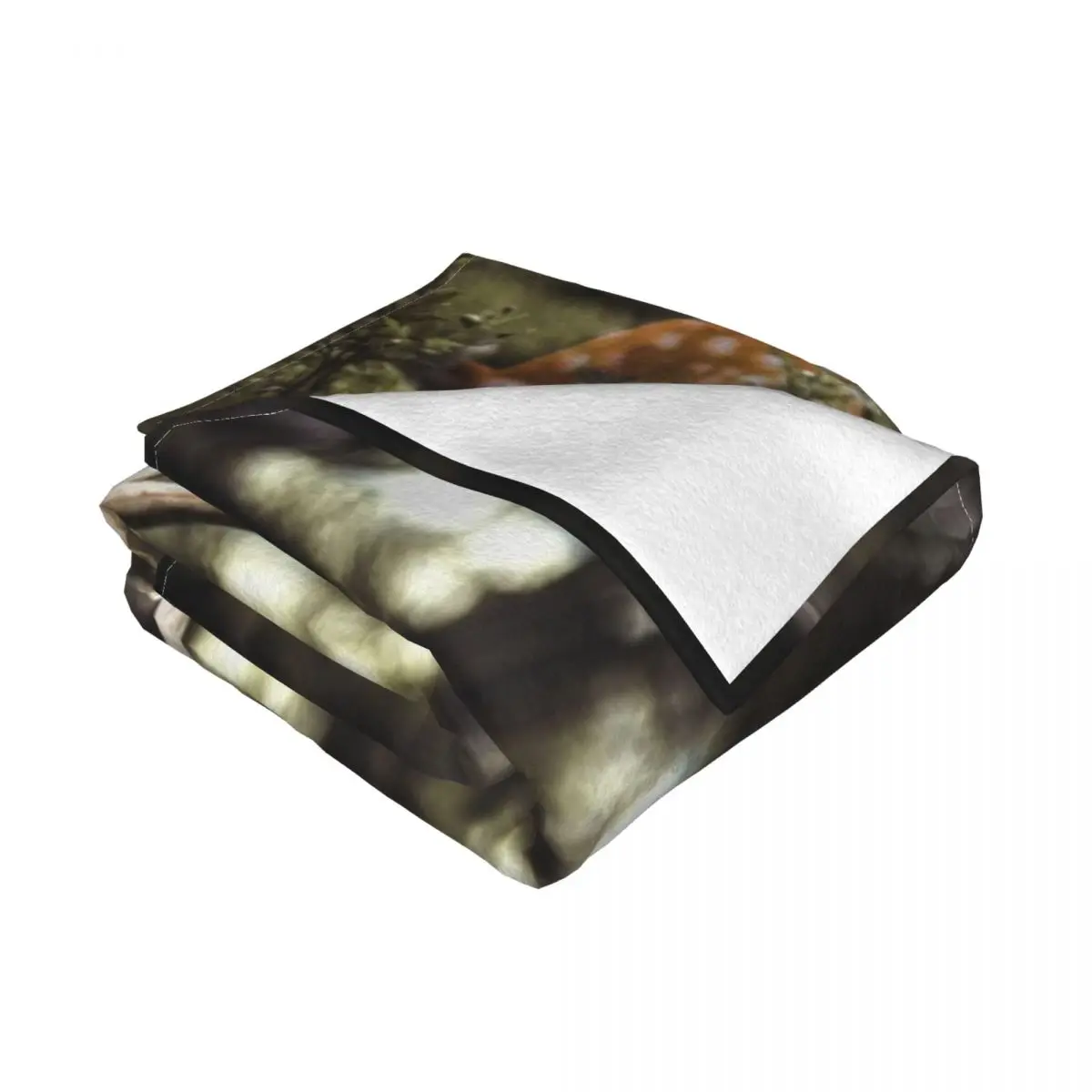 ������ �罿 ������ ���, �� �̺� ���, ���Ÿ� �귣�� ���