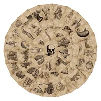 10/30/56pcs Anatomy and Physiology The Body Structure Stickers PVC Waterproof Toy Graffiti Skeleton Stickers For Luggage Decals 2