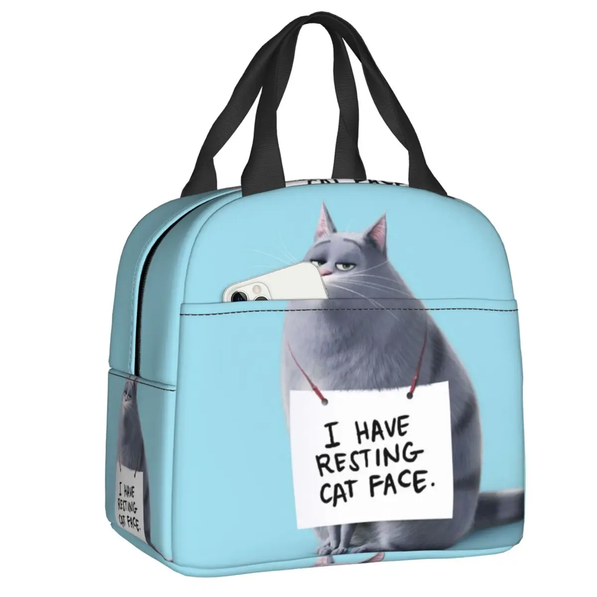

Custom Cute Tabby Cat Lunch Bag Men Women Cooler Thermal Insulated Lunch Box for Children School