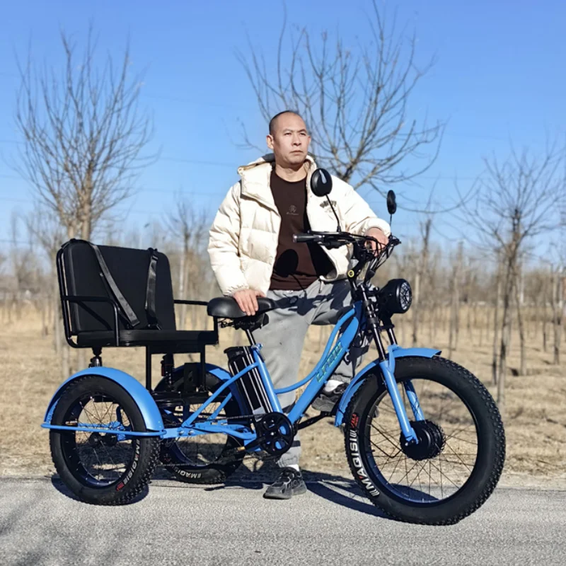 Tricycle électrique à roues avec siège passager pour homme, 750W