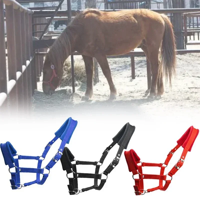 1Pc Soft Padded Pony Halter Bridle Headstall Head Collar Horse Riding Accessories Ergonomic Comfortable Unfettered Halters