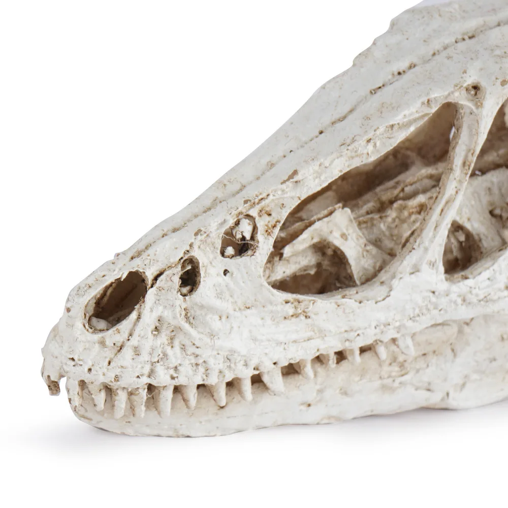 Modello di dinosauro Velociraptor in resina per decorazione - immagine 3