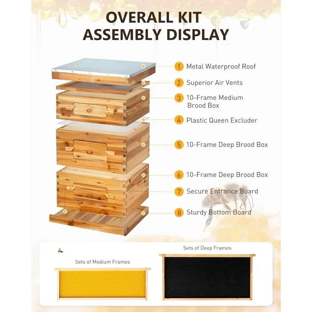 10 Frame Bee Box Starter Kit, 2 Deep + 1 Medium Langstroth Beehive Kit with Transparent Plastic Window and Queen Excluder