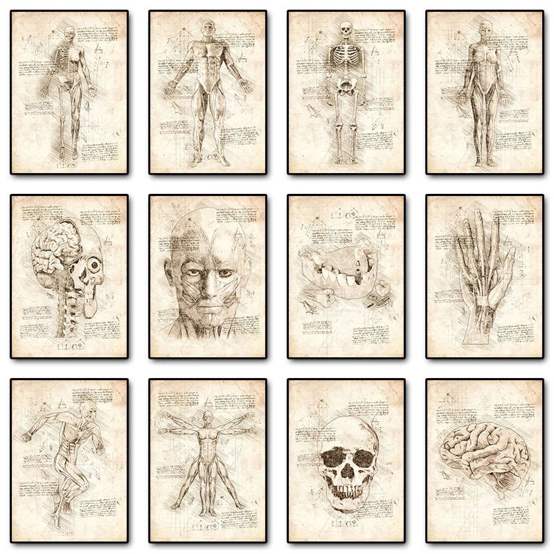 Vintage-Human-Anatomy-Sketch-Canvas-Poster-Prints-Physiology-Muscle ...