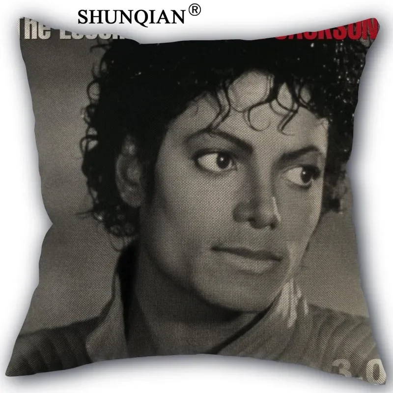 Pillow Cover8