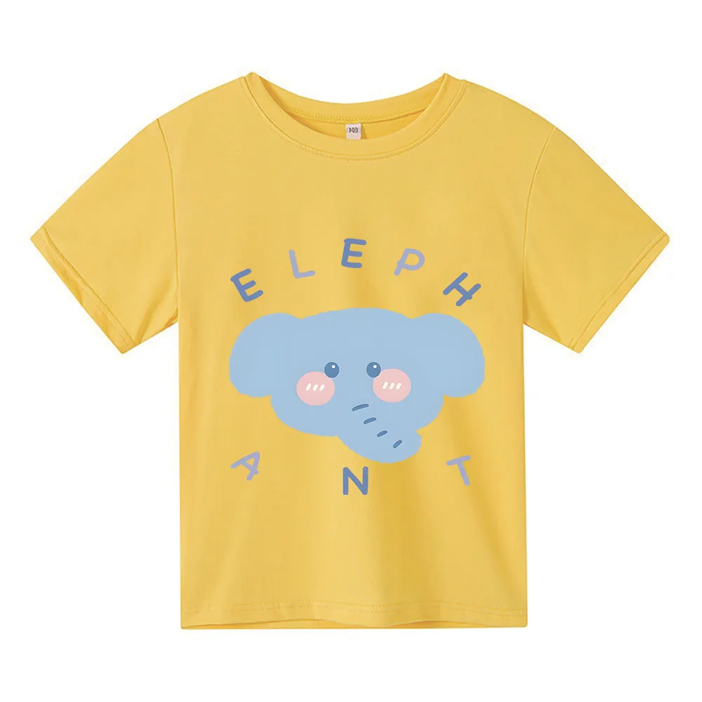 Рисунок 4 - Летняя хлопковая футболка с коротким