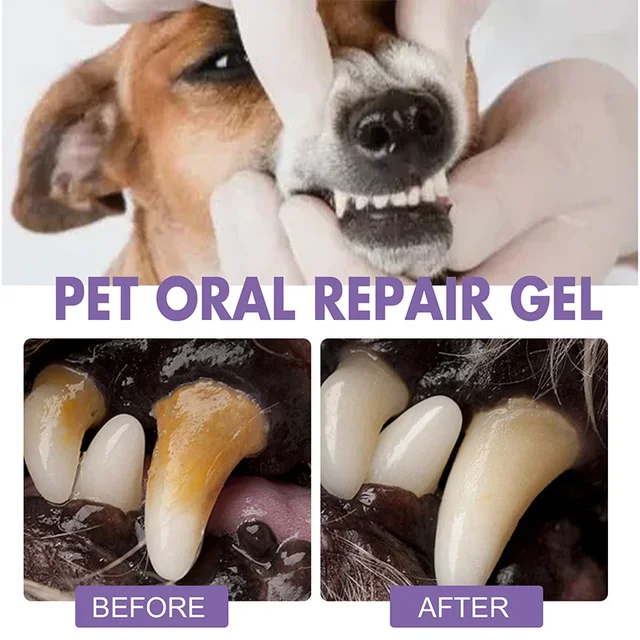 Pet Teeth Cleaning Tooth 4