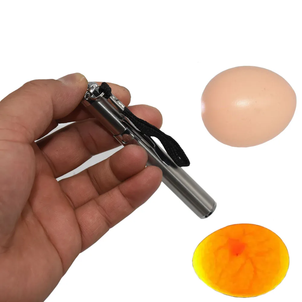 1Pcs Incubator Egg Tester Egg Candling Lamp LED Super Cold Equipment Incubation Tool egg candler