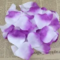 Purple White