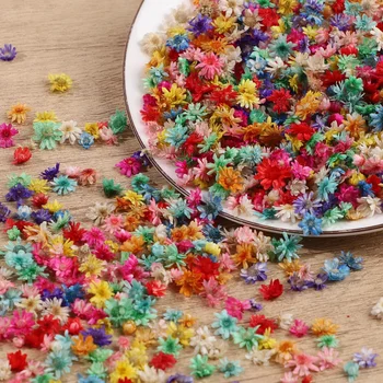 1Bag Dried Flowers For Epoxy Resin DIY Nail Art Craft Candle Soap Making Material Pressed Flower Wedding Party Home Decoration