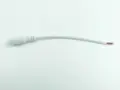 1 Female  white