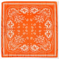 Fashion Print Silk Hairbands Scarf Women 2025 Spring New Elagant Floral Bandana Neck Kerchief Head Bands Foulard Female Scarfs - Image 6