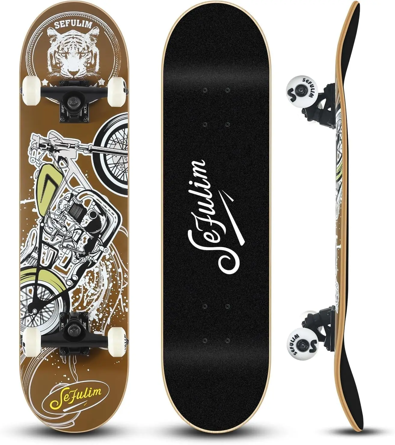 Skateboard deck close-up