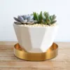 Round Gold Tray,Metal Decorative Tray Makeup Tray Organizer for Vanity,Bathroom,Dress,Matte Brass Finish, 4.9 Inch 3
