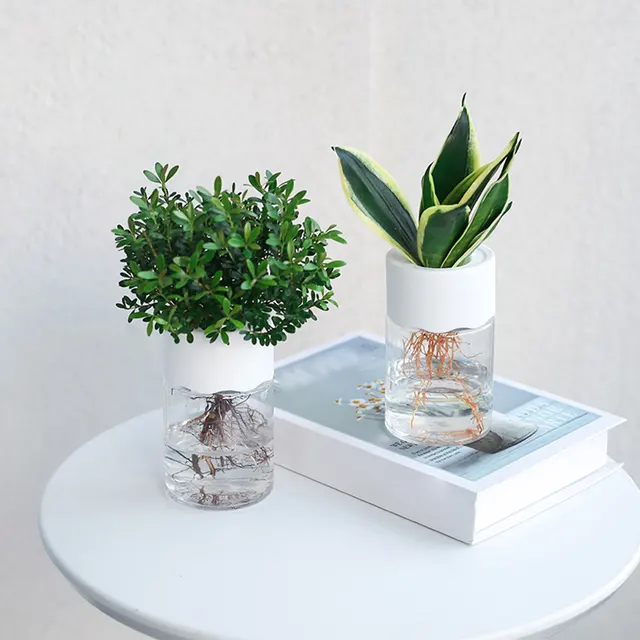 Átlátszó Virágcserép -Víz Ültetési Edény Műanyag Hidroponikus Virágcsereplők Bonsai Otthoni Dekoráció - Image 2