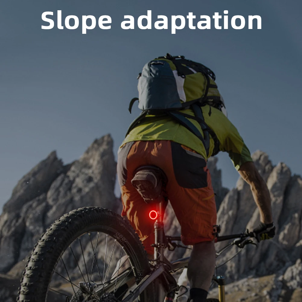 Рисунок 2 - Большой задний фонарь для диафрагмы