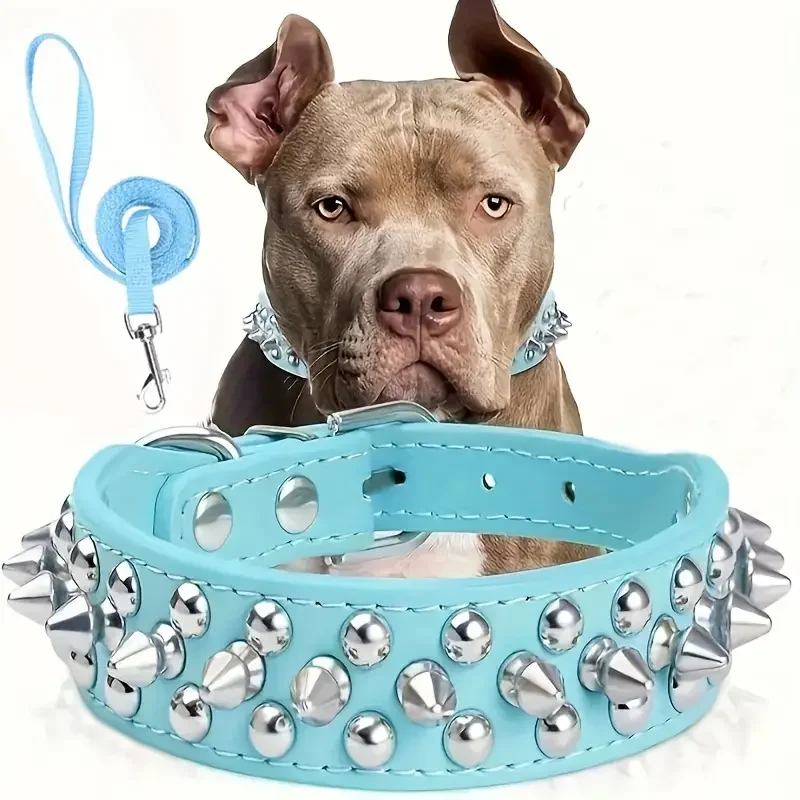 Spiked Dog Collar And Leash