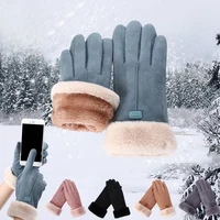Winter Female Cashmere Warm Suede Leather Cycling Mittens Double Thick Velvet Plush Wrist Women Touch Screen Driving Gloves 1