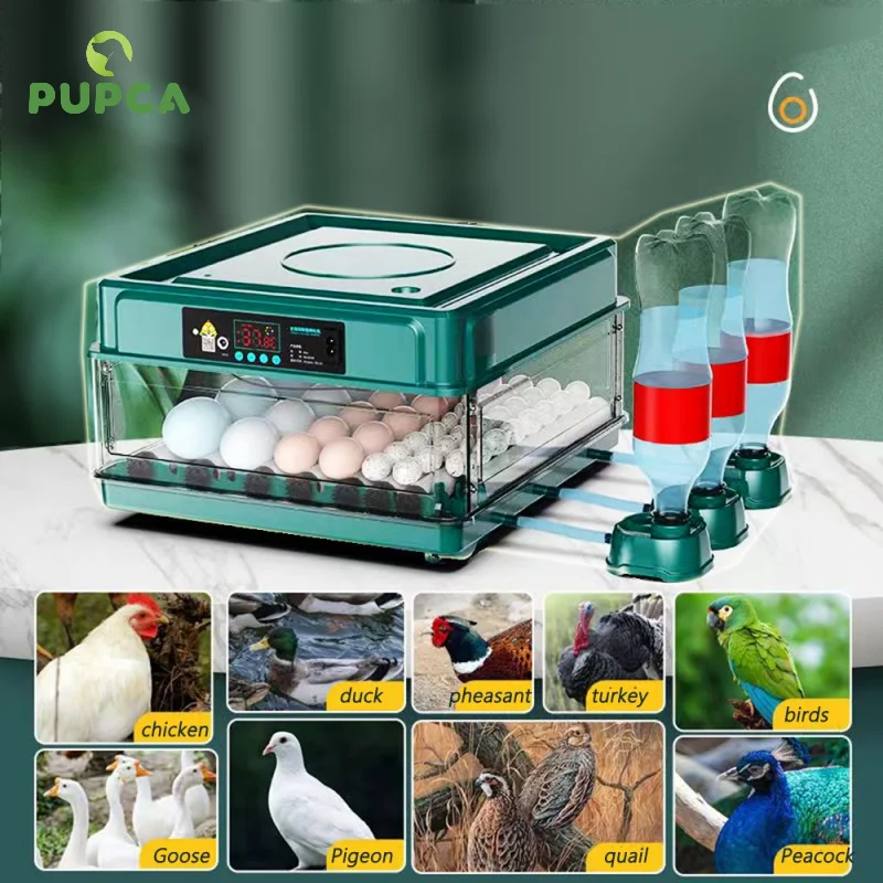 

9/15 Eggs Incubator With Drawer Type Mini Egg Incubator With Automatic Water Ionic Waterbed Replenishment And Temperature Contro