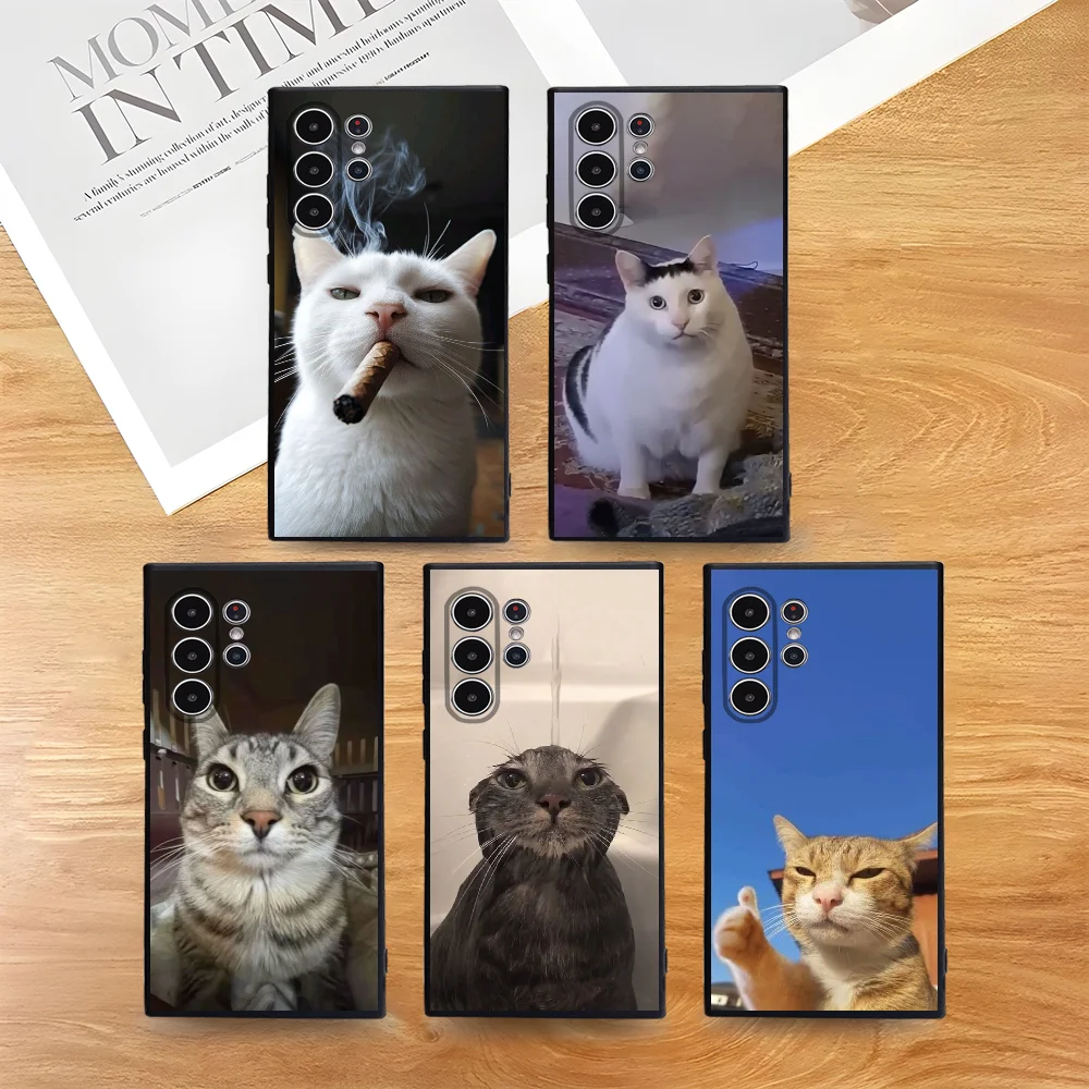 Pet Cat Funny Memes Frosted Non-Slip Full Cover Phone Case