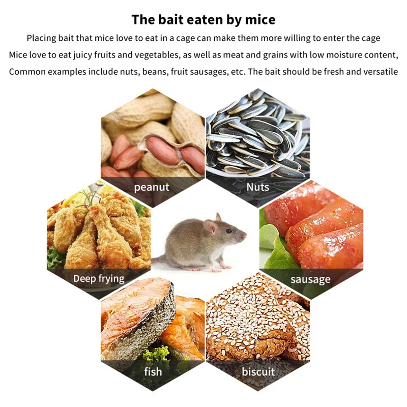 Slide image 5d8403c7846745b69c8b5088fa8a1c3e