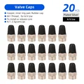 AV Caps GSV 20pc