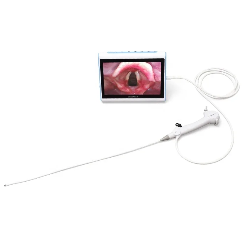 

Popular size reusable medical flexible disposable bronchoscope