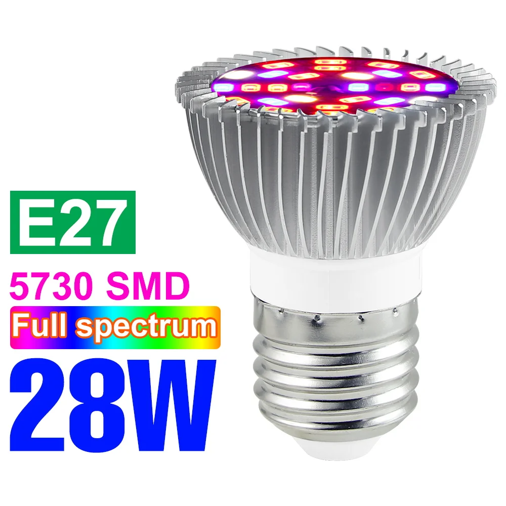 E27 28W