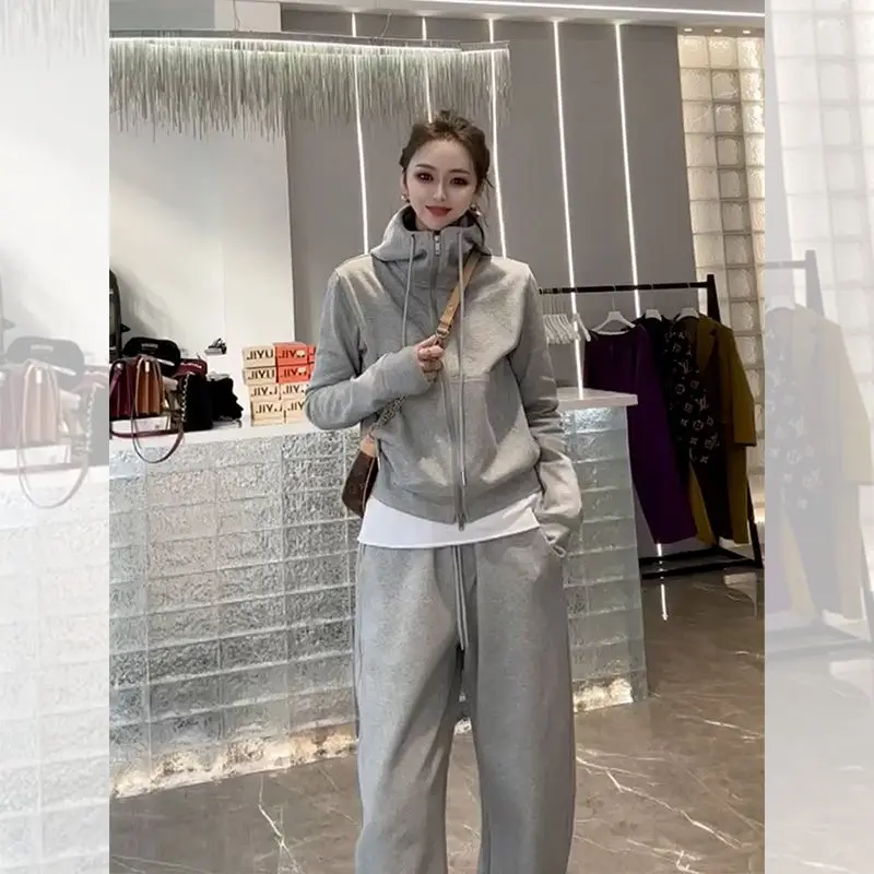 

2023 Women Spring Autumn New 2 Piece Sets Female Casual Hooded Sweatshirts Coat + Drawstring Loose Pant Ladies Sports Suits R379