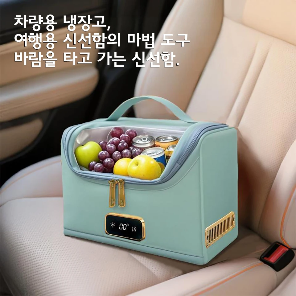 패션 그린 카 쿨링&히팅 백 소프트 전기 냉장고 12V/220V 휴대용 핸드 캐리 화장품 약품 냉장백 차량용 냉장고
