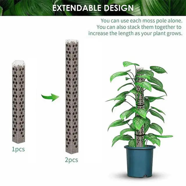 Műanyag Moha Pólus Üreges Tervezés Moss Botok Sphagnum Szőlő Támogató Bot Monstera Növényi Tartó Keret A Mászó Növényhez - Image 3