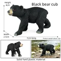 Black Bear Cub B