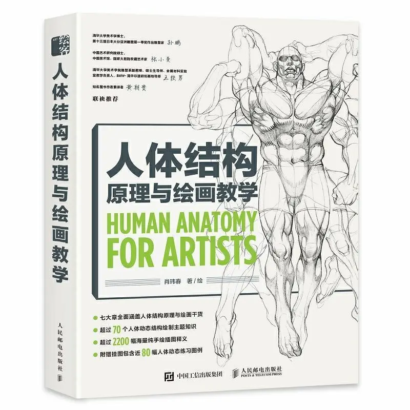 

Principles of Human Body Structure and Painting Teaching Book Human Body Structure Basic Tutorial Books